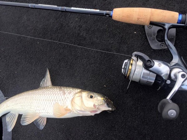 hideup 永野総一朗 ブログ写真 2016/01/06