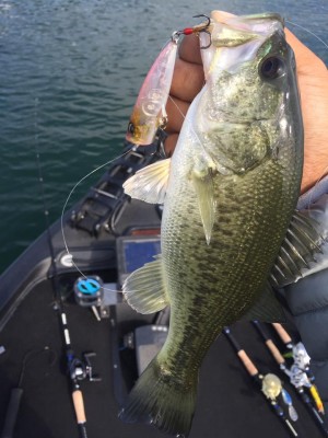 hideup 豌ｸ驥守ｷ丈ｸ譛� 繝悶Ο繧ｰ蜀咏悄 2016/10/19