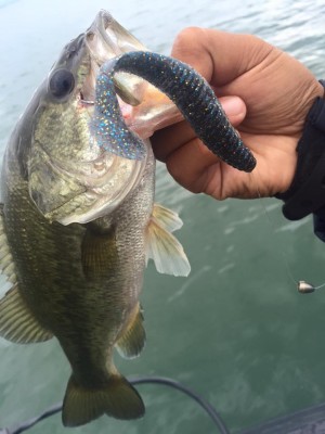 hideup 永野総一朗 ブログ写真 2016/09/03