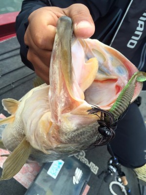 hideup 永野総一朗 ブログ写真 2015/11/23