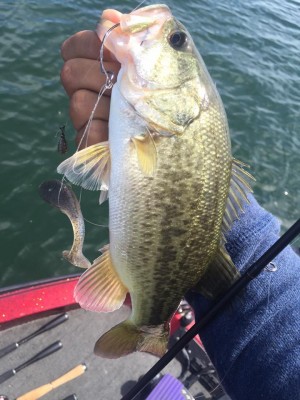 hideup 永野総一朗 ブログ写真 2015/09/14