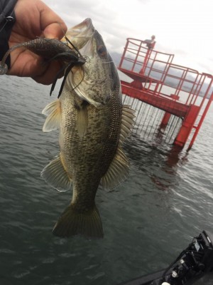 hideup 永野総一朗 ブログ写真 2017/04/12