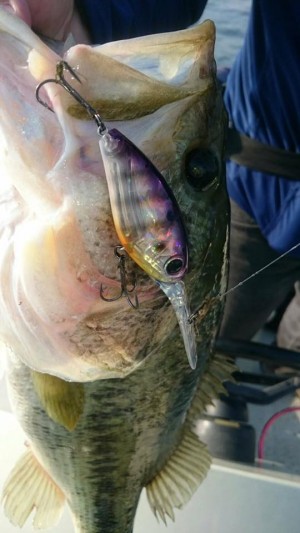 hideup 永野総一朗 ブログ写真 2017/05/22