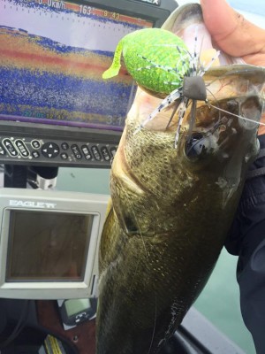 hideup 永野総一朗 ブログ写真 2016/07/08