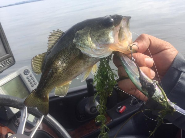 hideup 永野総一朗 ブログ写真 2016/10/14