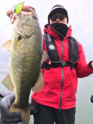 hideup 永野総一朗 ブログ写真 2017/11/08