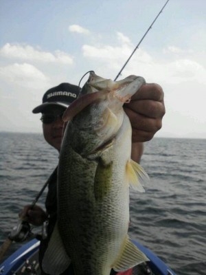 hideup 永野総一朗 ブログ写真 2013/07/11