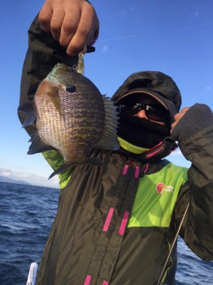 hideup 永野総一朗 ブログ写真 2015/11/01