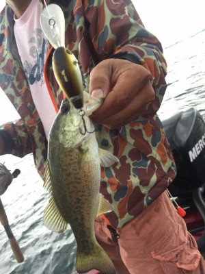 hideup 永野総一朗 ブログ写真 2015/08/17