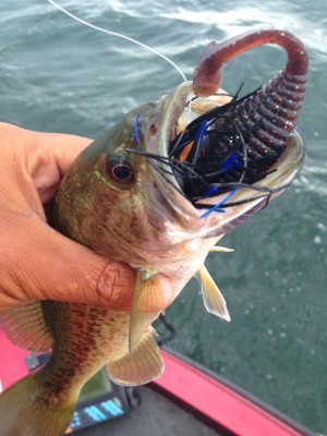 hideup 豌ｸ驥守ｷ丈ｸ譛� 繝悶Ο繧ｰ蜀咏悄 2015/06/19