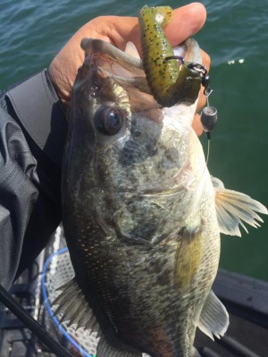 hideup 豌ｸ驥守ｷ丈ｸ譛� 繝悶Ο繧ｰ蜀咏悄 2017/04/24