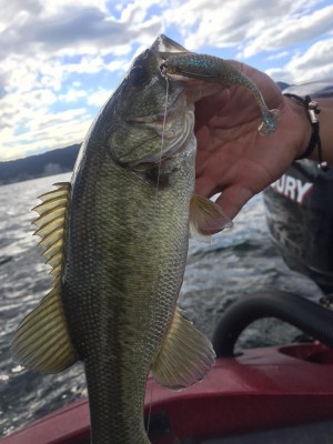 hideup 永野総一朗 ブログ写真 2015/08/26