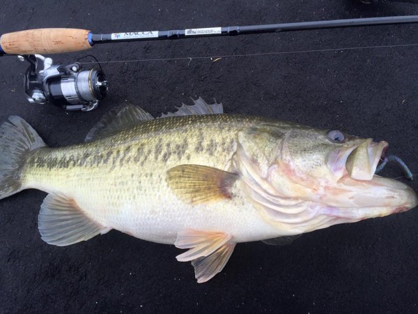 hideup 永野総一朗 ブログ写真 2016/03/01