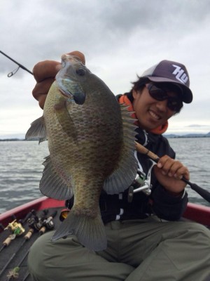 hideup 豌ｸ驥守ｷ丈ｸ譛� 繝悶Ο繧ｰ蜀咏悄 2014/10/23