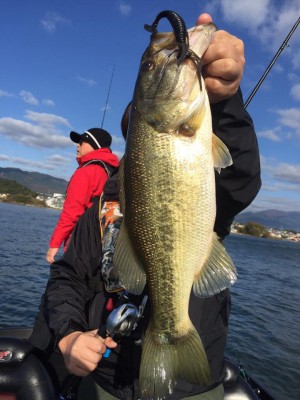 hideup 永野総一朗 ブログ写真 2016/11/16