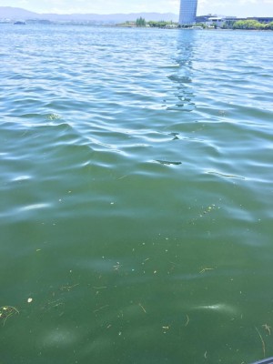 hideup 永野総一朗 ブログ写真 2016/05/13