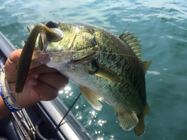 hideup 永野総一朗 ブログ写真 2016/08/12