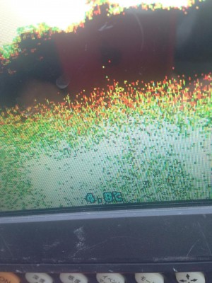 hideup 永野総一朗 ブログ写真 2014/12/24