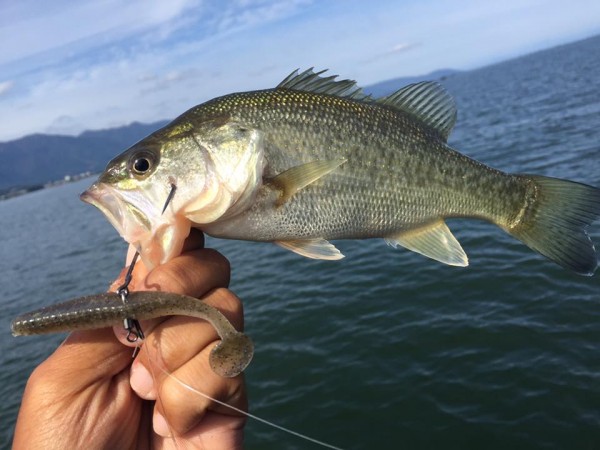 hideup 永野総一朗 ブログ写真 2016/10/13