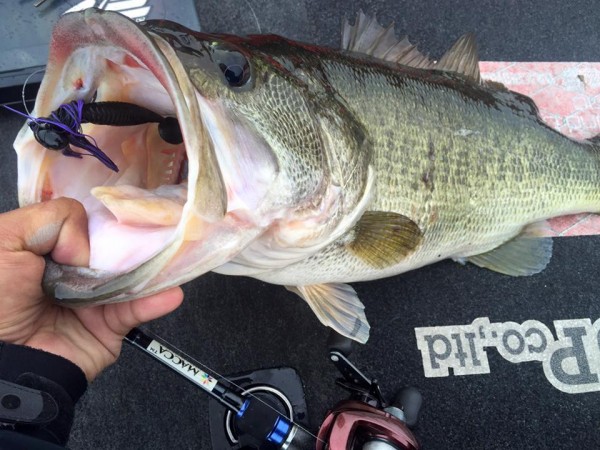 hideup 永野総一朗 ブログ写真 2015/12/24