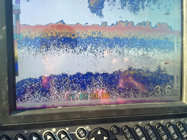 hideup 豌ｸ驥守ｷ丈ｸ譛� 繝悶Ο繧ｰ蜀咏悄 2016/05/23