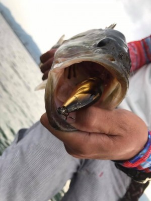 hideup 永野総一朗 ブログ写真 2017/05/23