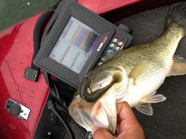 hideup 豌ｸ驥守ｷ丈ｸ譛� 繝悶Ο繧ｰ蜀咏悄 2013/04/19