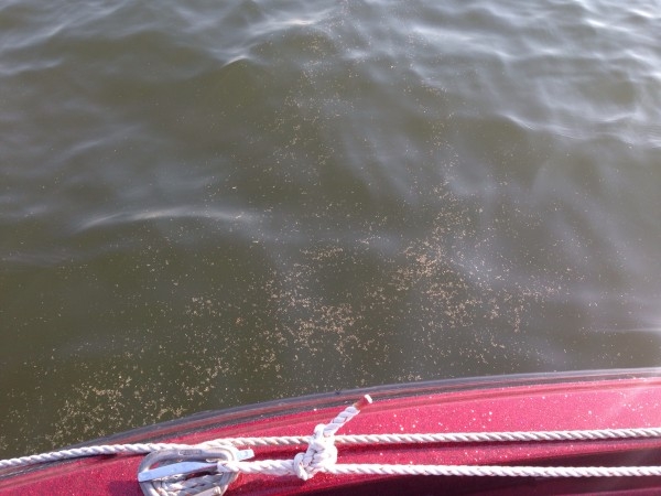 hideup 永野総一朗 ブログ写真 2014/05/08