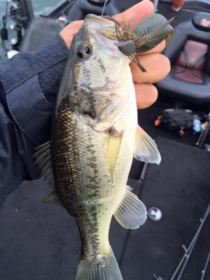 hideup 永野総一朗 ブログ写真 2016/04/05