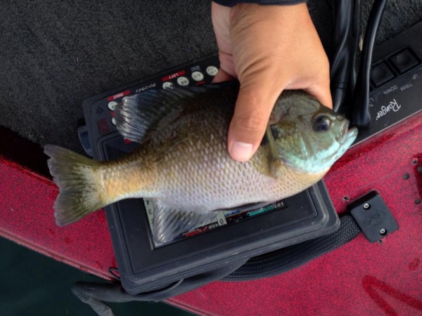 hideup 永野総一朗 ブログ写真 2014/10/28