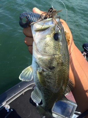hideup 永野総一朗 ブログ写真 2016/08/13