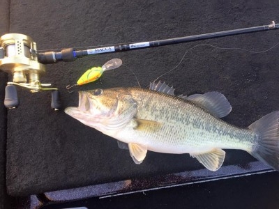 hideup 永野総一朗 ブログ写真 2016/02/28