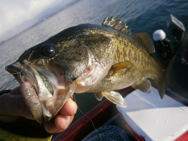 hideup 永野総一朗 ブログ写真 2013/01/21