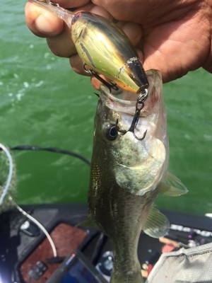 hideup 永野総一朗 ブログ写真 2016/09/04