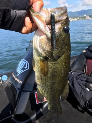 hideup 永野総一朗 ブログ写真 2017/06/09