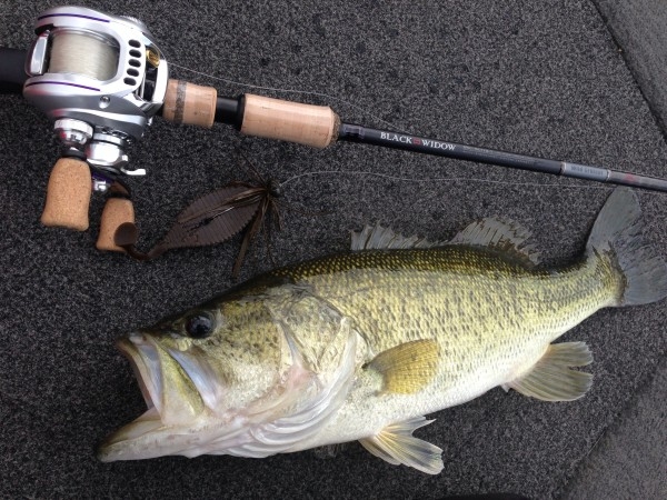 hideup 永野総一朗 ブログ写真 2014/05/16