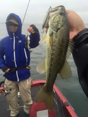 hideup 永野総一朗 ブログ写真 2015/11/08