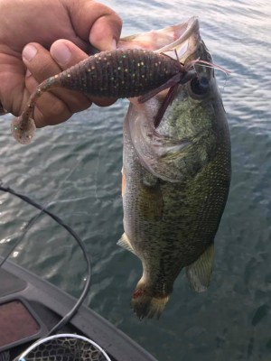 hideup 永野総一朗 ブログ写真 2017/07/22