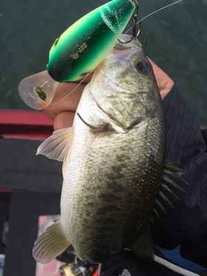 hideup 永野総一朗 ブログ写真 2015/11/02