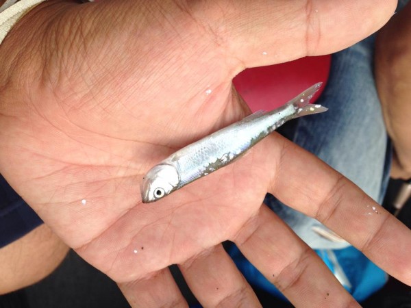 hideup 永野総一朗 ブログ写真 2014/09/11