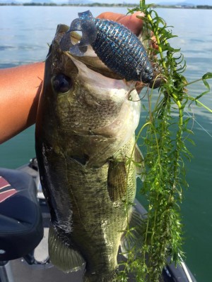hideup 永野総一朗 ブログ写真 2016/08/13