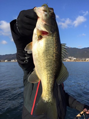 hideup 永野総一朗 ブログ写真 2016/03/11