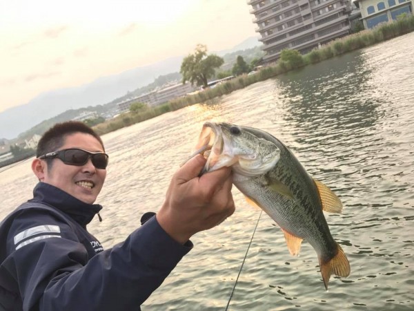 hideup 永野総一朗 ブログ写真 2017/06/11