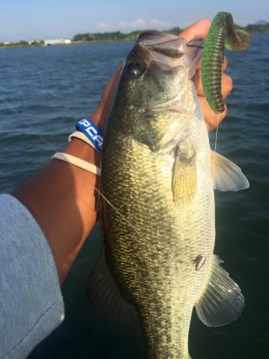 hideup 永野総一朗 ブログ写真 2016/09/03