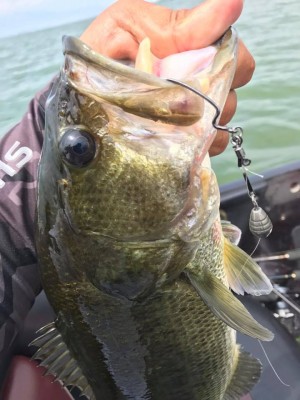 hideup 永野総一朗 ブログ写真 2017/07/13