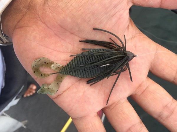 hideup 豌ｸ驥守ｷ丈ｸ譛� 繝悶Ο繧ｰ蜀咏悄 2015/09/09