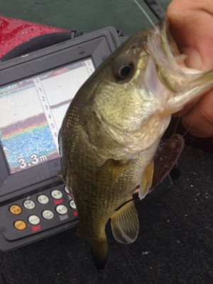 hideup 永野総一朗 ブログ写真 2014/11/02