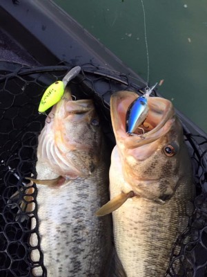 hideup 永野総一朗 ブログ写真 2016/04/09