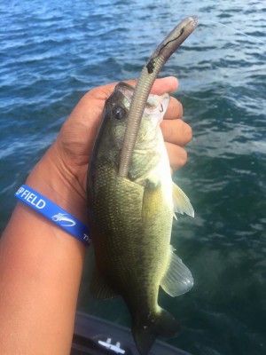 hideup 永野総一朗 ブログ写真 2016/09/04