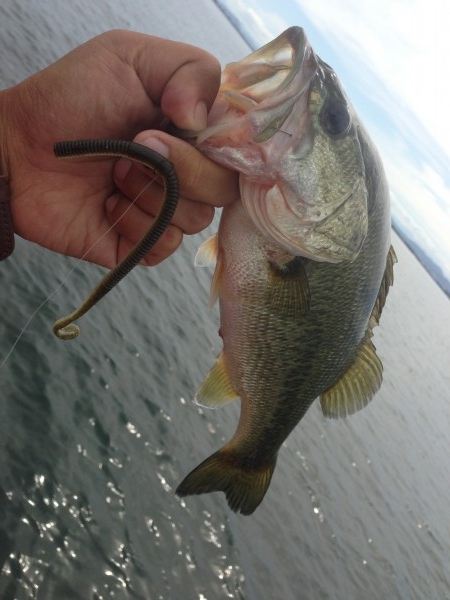 hideup 永野総一朗 ブログ写真 2013/07/20